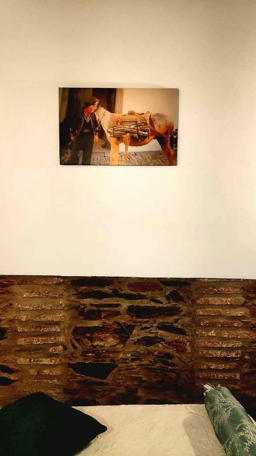 モンサラズ Casa O Chaparrinhoヴィラ エクステリア 写真